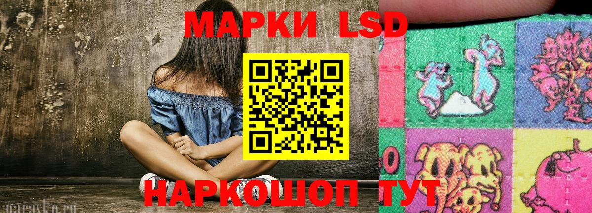 купить наркоту  Наркотические марки  Красноярск  Вход с VPN  Наркотические марки 1500мкг 